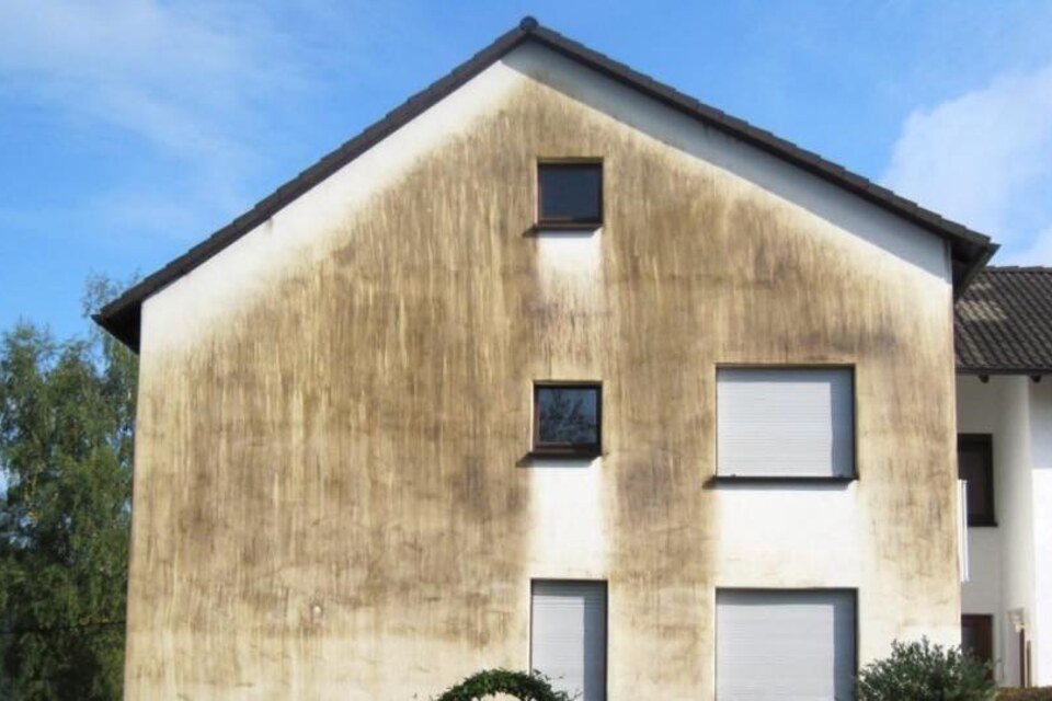 Pignon d'immeuble avant travaux, façade couverte de verdissement